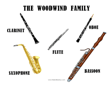 The-Woodwind-Family-The-Bird-Feed